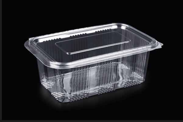 Slika-4---Pravougaona-1